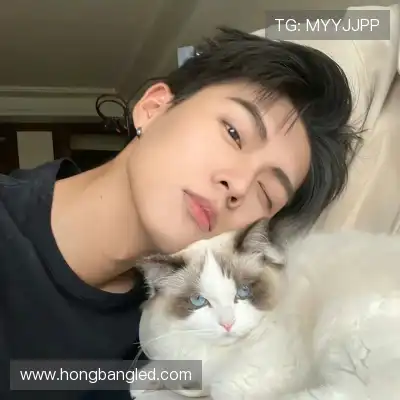 齐荟真